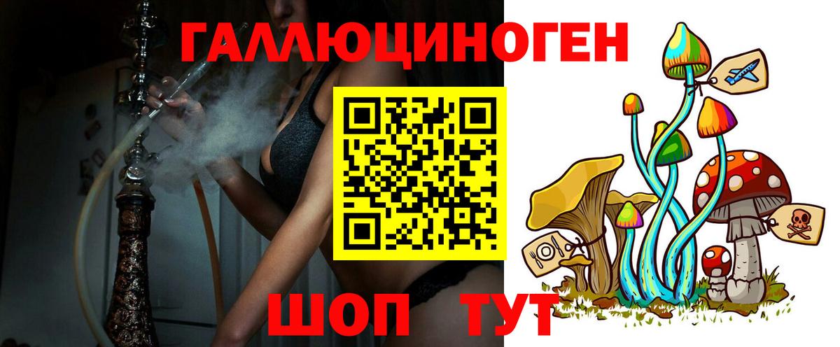 хочу   Псилоцибиновые грибы MAGIC MUSHROOMS  Вход с VPN  Ачинск 